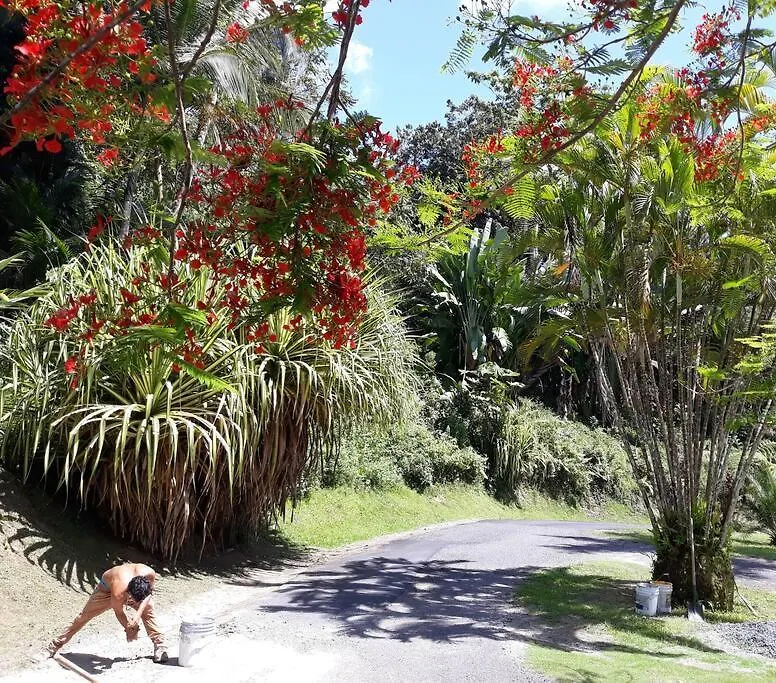 Appartement Swim & Paint Art Retreat à Las Piedras 0*,