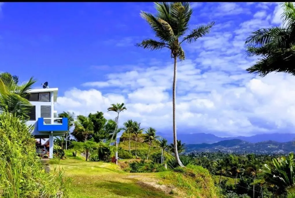Las Piedras Swim & Paint Art Retreat 아파트 푸에르토리코